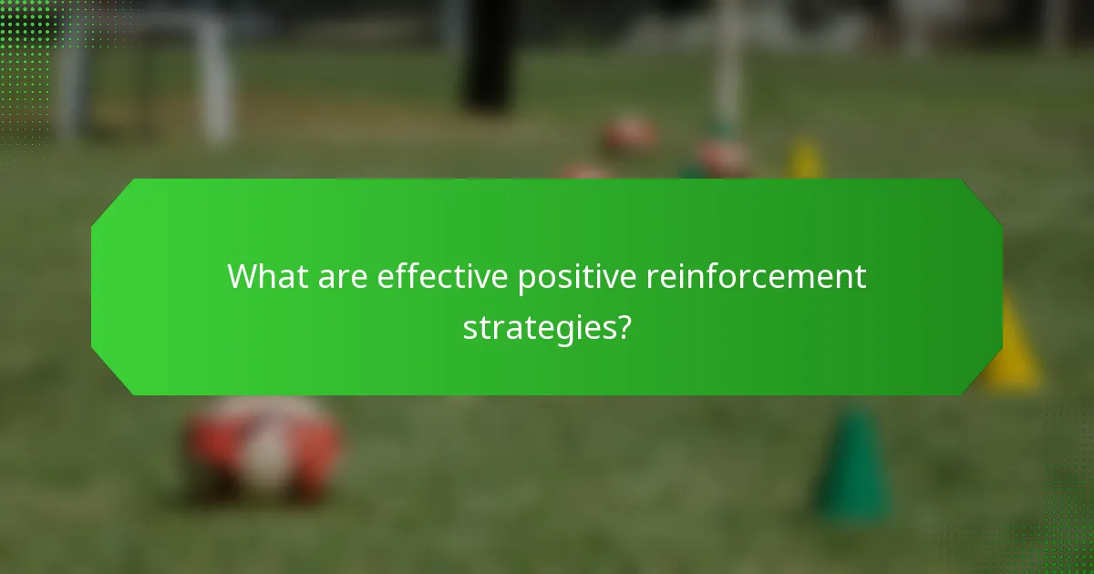 What are effective positive reinforcement strategies?